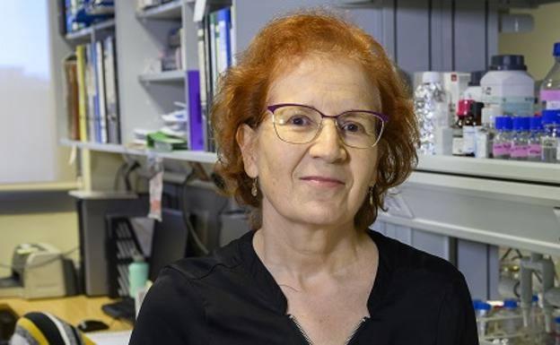 Un director de la OMS asegura que no se podrá erradicar la covid por su origen animal