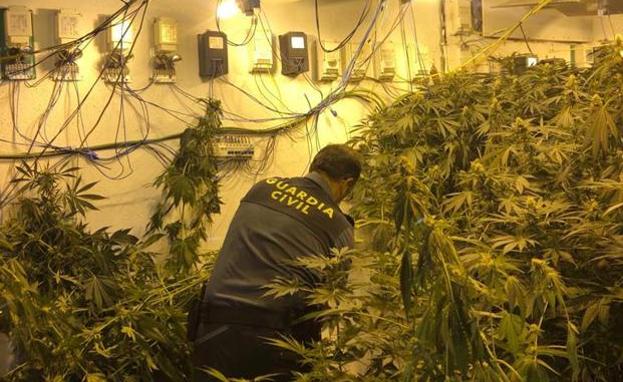 Descubren que tenía un invernadero de marihuana en la casa que se estaba construyendo en Íllora
