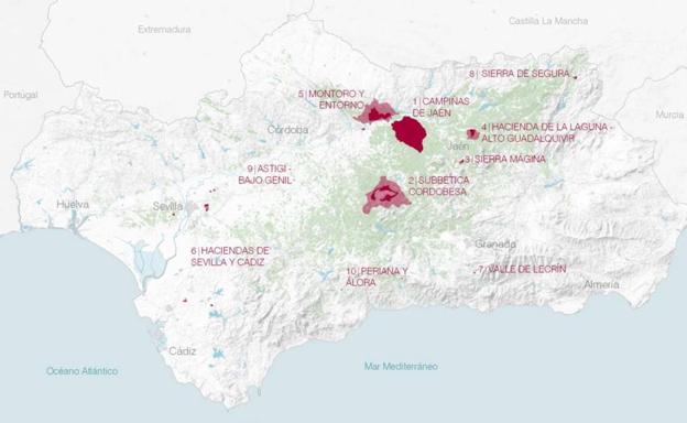 'Los otros', los desconocidos paisajes culturales del olivar