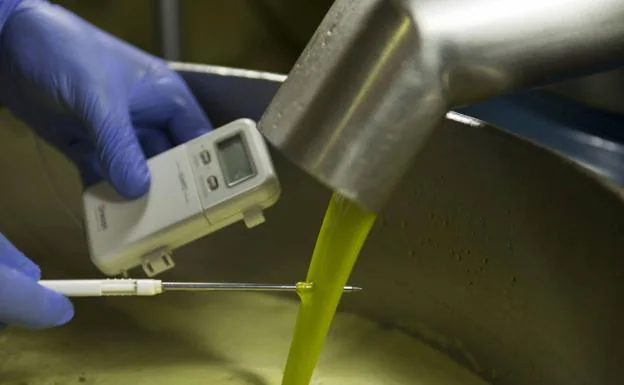 El aceite de oliva mantiene su escalada: a tres euros en origen ya en todas sus categorías