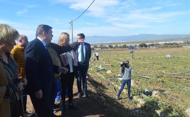 El Gobierno no perdona ni un céntimo al sector hortícola en su ejercicio de IRPF