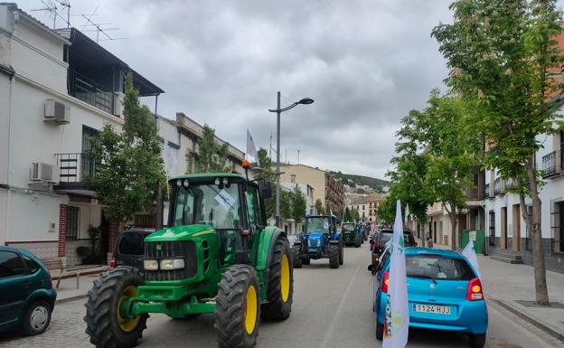 «El Decreto de Convergencia va a afectar más a Jaén que a otras provincias»