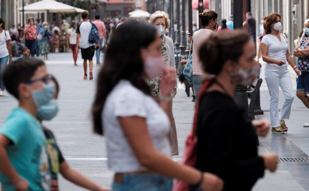 El polen del olivo acelera su escalada y ya está en nivel «extremo» en Jaén pese a las lluvias