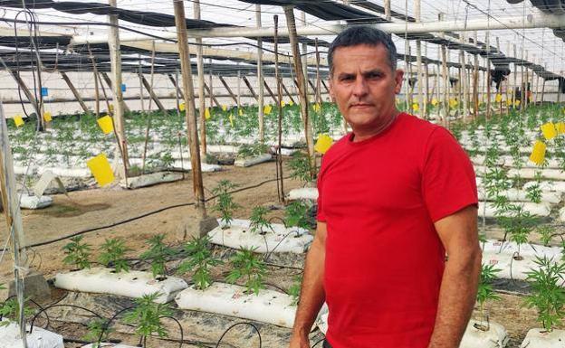 Productores de cáñamo industrial en Almería se asociarán para defender sus intereses