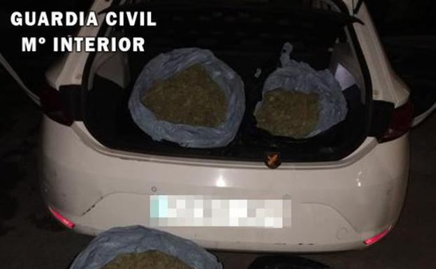 Pillado con 634 plantones de marihuana en su coche cuando los llevaba a un invernadero de Granada