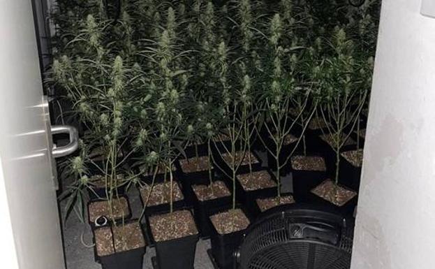 Detienen a dos jóvenes e investigan a un tercero por estafar más de 10.000 euros a un anciano de Órgiva