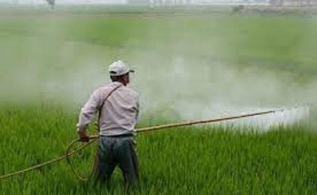 Un tercio de los pesticidas presentes en nuestra comida son tóxicos