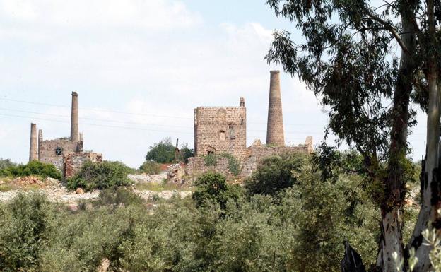 Más vigilancia en el distrito minero por tres nuevas muertes de linces