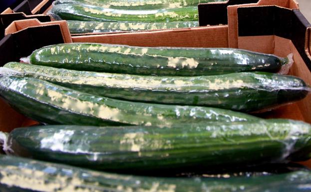 Un coloso que se situaría entre los primeros de la agroalimentación