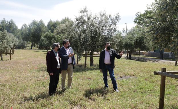 La antigua estación de ferrocarril de Alcaudete, un nuevo jardín de olivares