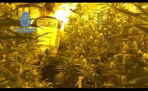 5 noticias para conocer qué ha pasado en Granada este martes