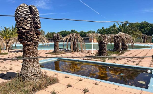 El PP tilda la piscina municipal de Las Fuentezuelas de «cementerio de palmeras»