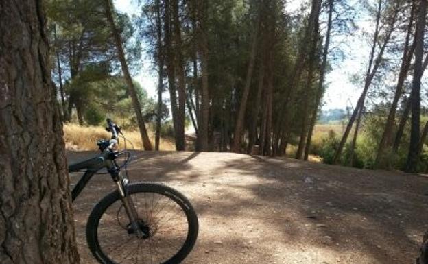 Cinco planes divertidos y educativos para hacer este fin de semana con niños