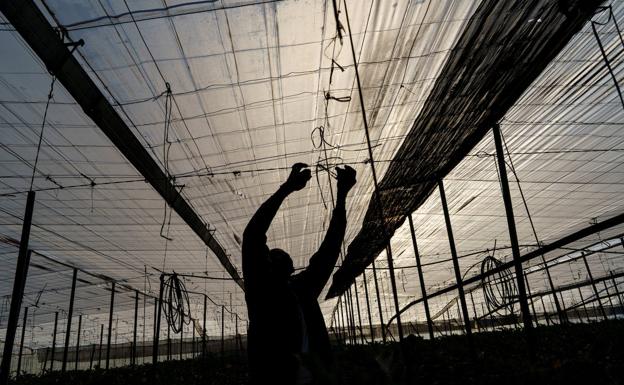 Coag exige a la UE que pare el acuerdo con Marruecos por la crisis diplomática