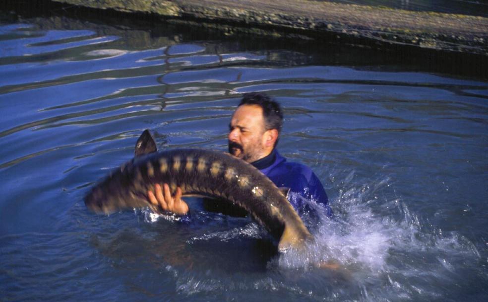 El hombre que cultivaba peces de oro