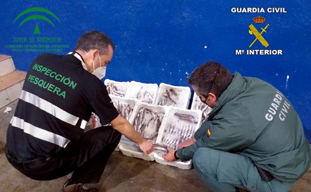 24 kilos de merluza incautados en el polígono de Guarromán van a parar al banco de alimentos de Jaén