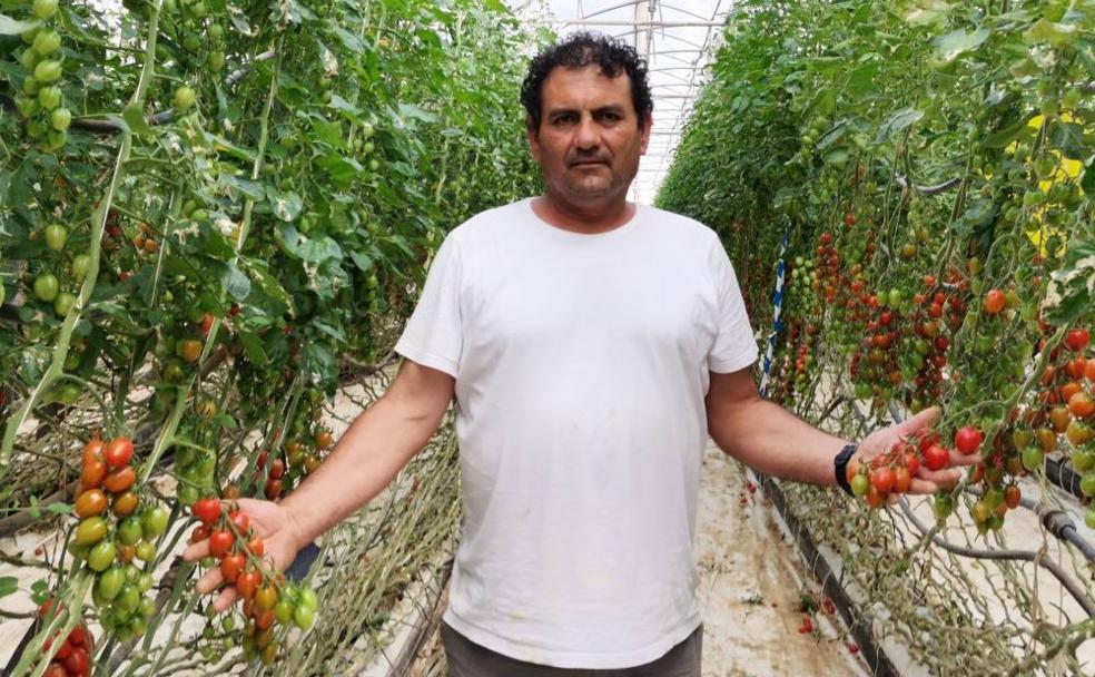 José Manuel en el reino de los cherrys