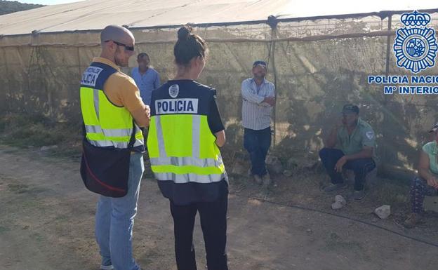 Cuatro bolivianos detenidos en Granada por usar documentación de otros compatriotas para trabajar en el campo