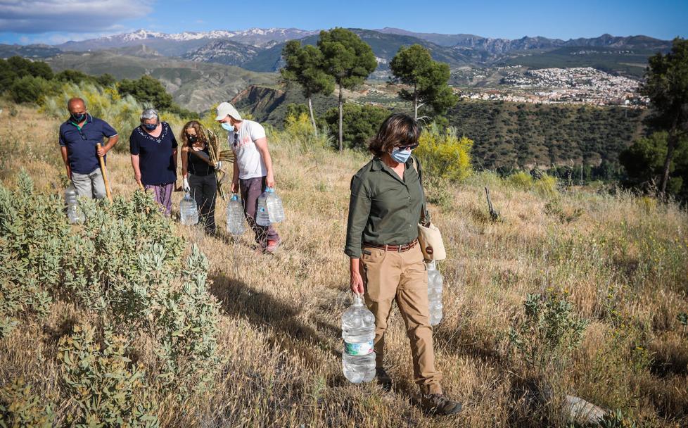 5.000 razones para arborizar Granada