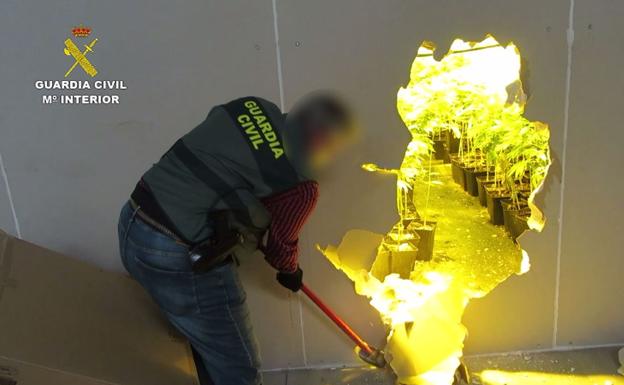 Macrooperación contra una banda criminal por tráfico de drogas en toda la provincia de Jaén