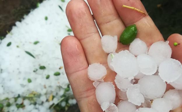 Una tormenta de granizo daña zonas de olivar de Alcaudete y Villanueva del Arzobispo