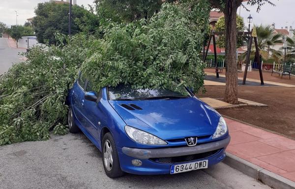 La tormenta nocturna en Granada deja 10 incidencias leves atendidas por el 112
