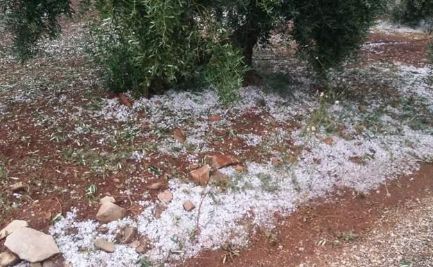 ASAJA aconseja a los agricultores contratar el 'módulo p' de sus seguros ante posibles tormentas de granizo