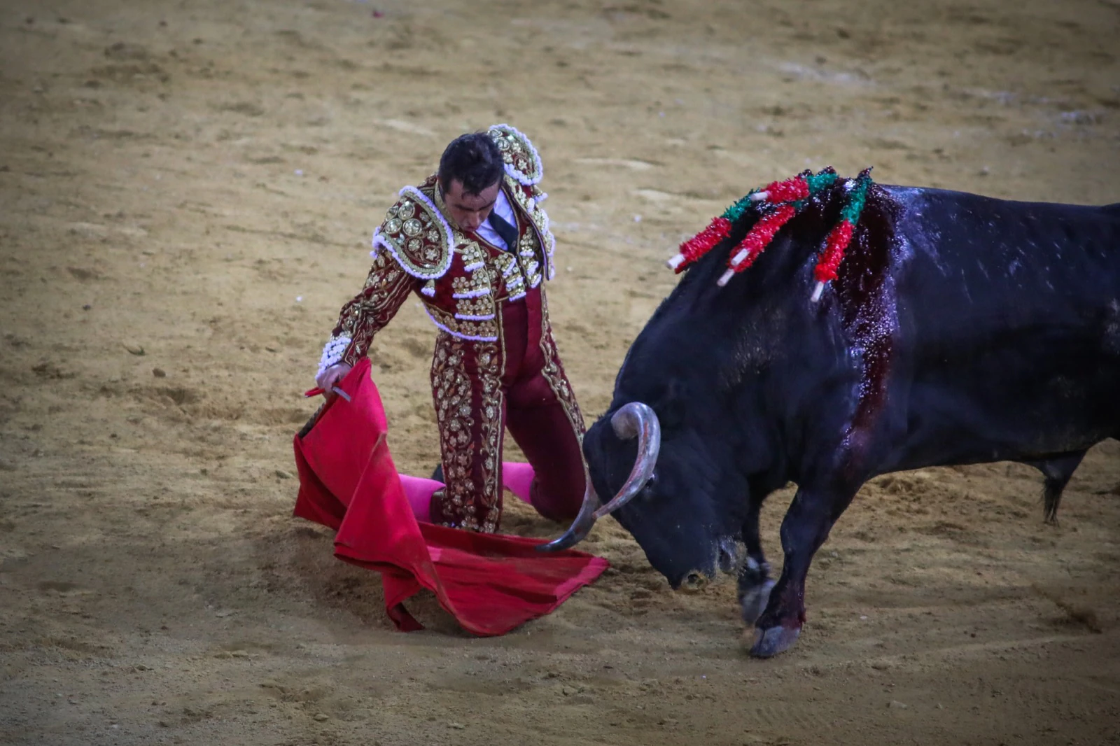 Fotos: Las imágenes de la corrida | Ideal