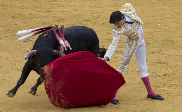 De la cátedra poncista al impacto regio