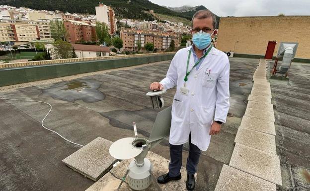 Últimos coletazos en Jaén de polen de una primavera más leve 'por la covid'