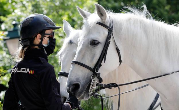 Aprender a montar a caballo