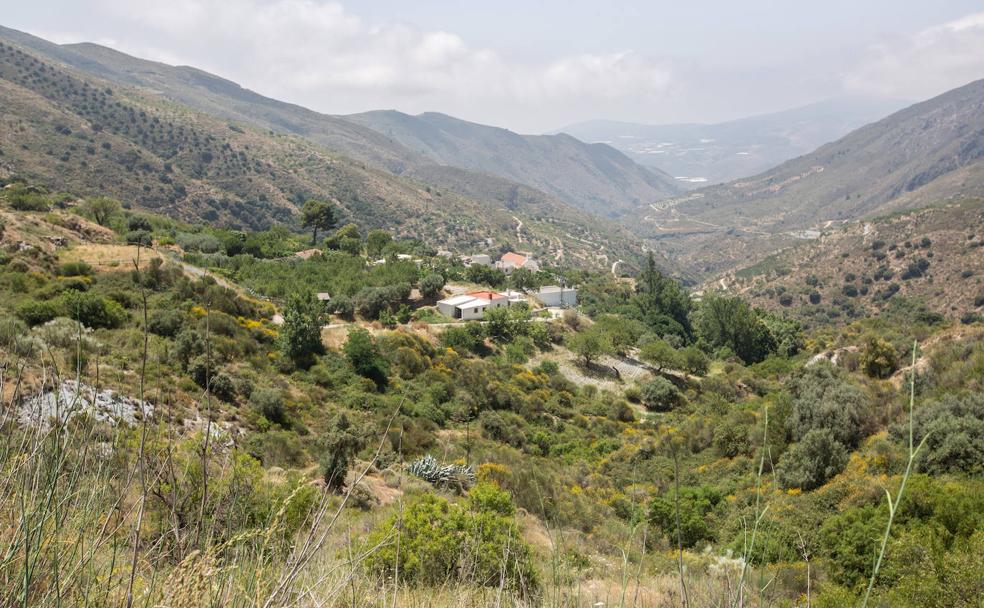 Fregenite, a medio camino de todo