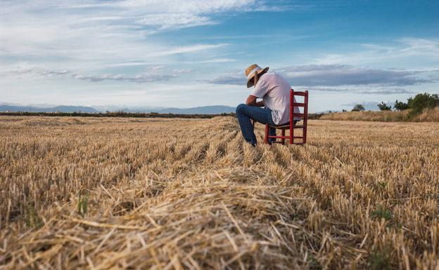 El rastro de los lirios
