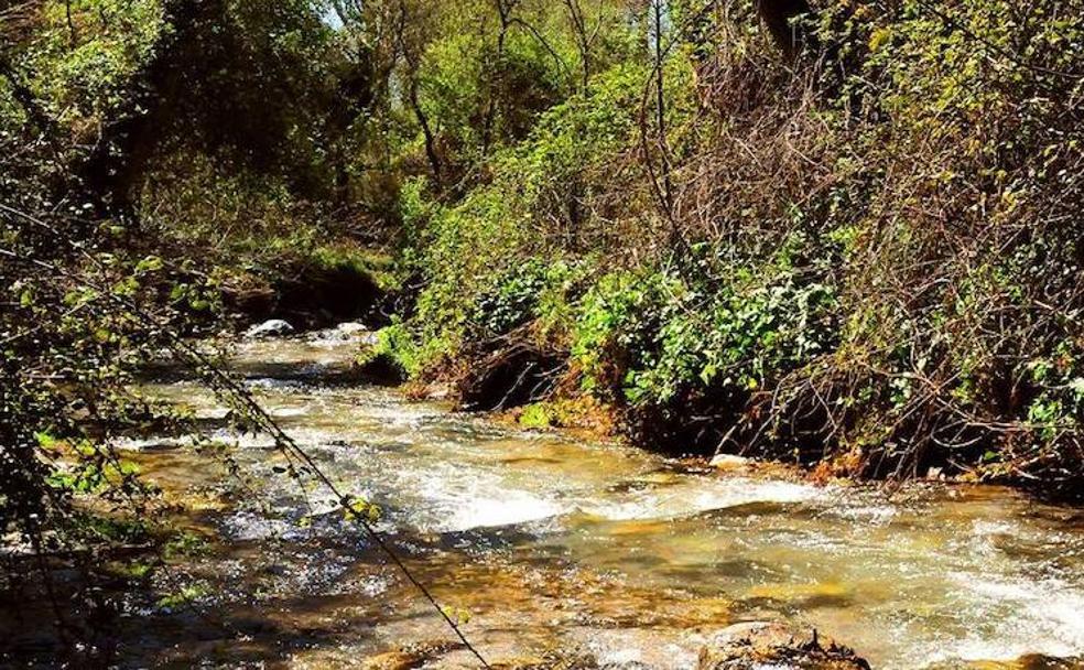 Un refrescante paseo entre cascadas de agua por el río Dúrcal
