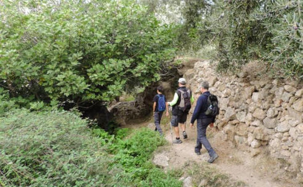 Un recorrido entre viñedos y agua por la Alpujarra almeriense
