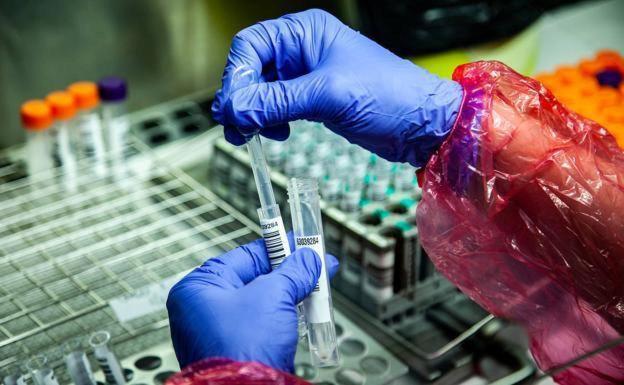 Expertos advierten de la «ola mundial» de contagios que podría provocar la variante india