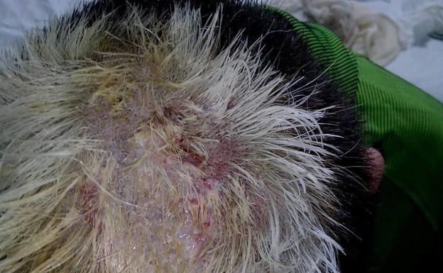 Ratifican la condena a un peluquero que abrasó con un tinte a un menor en un pueblo de Granada