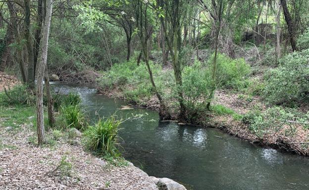 Rescatan a una mujer arrastrada por el río Genil en Cenes de la Vega