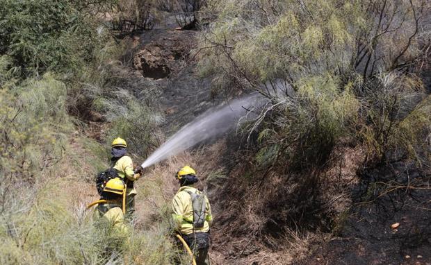 Controlado el incendio forestal declarado en Cenes de la Vega