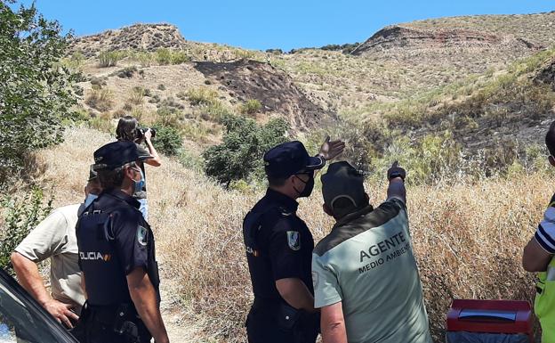 Identifican al presunto autor y la causa del incendio en Cenes de la Vega