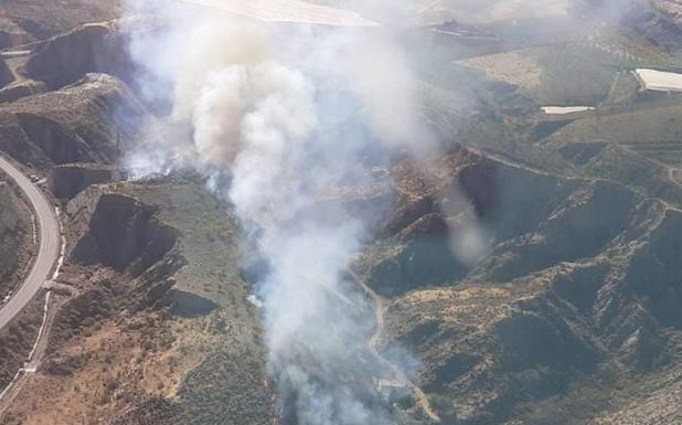 El Infoca controla un incendio forestal en Ugíjar
