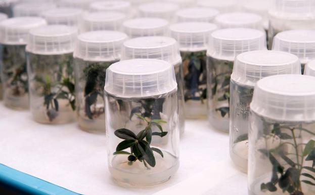 Explorando nuevas vías de innovación agroalimentaria útiles para la sociedad