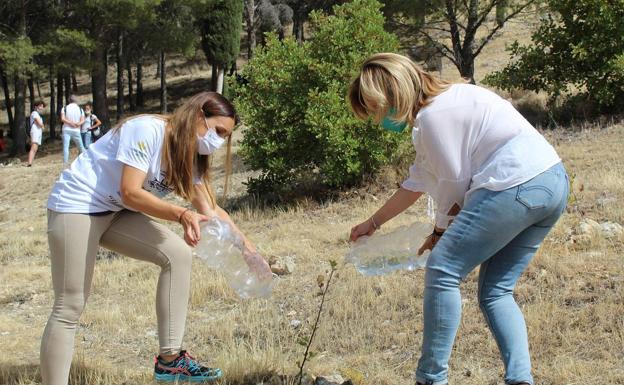 Objetivo, que toda la ladera sur de Santa Catalina tenga masa forestal