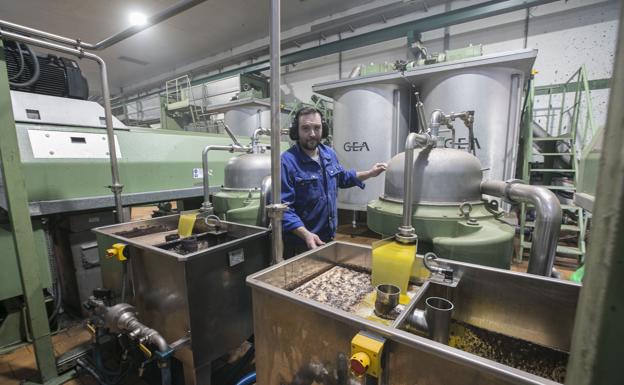 La venta de aceite de Granada a Estados Unidos coge impulso sin el freno de los aranceles