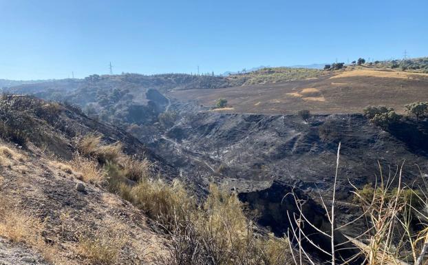 Investigan si el incendio de Jun fue intencionado tras dar por hecho que fue causado por la mano del hombre