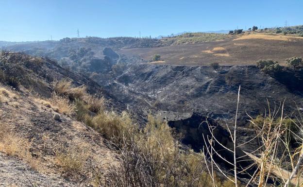 El incendio forestal en Güéjar Sierra quemó 3,5 hectáreas de matorral y arbolado
