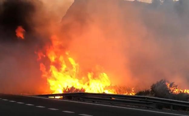 Extinguido un incendio junto a la carretera cerca del túnel que une Torrenueva y Carchuna