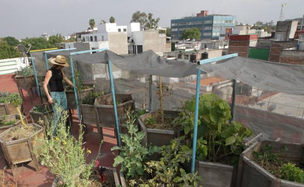 Cómo montar un huerto urbano