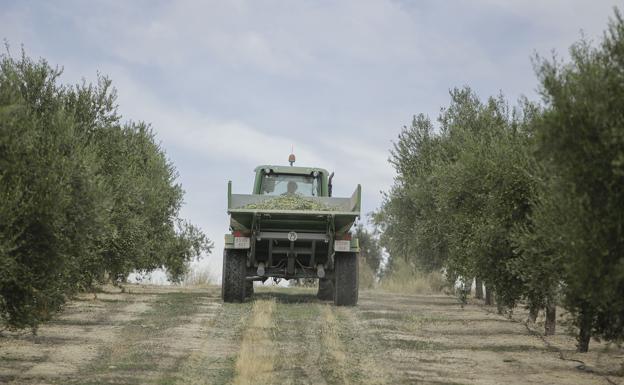 Jaén destruye 14.100 empleos y es la tercera provincia del país con más paro