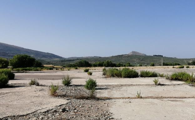 Torredonjimeno logra un acuerdo con Holcim para adquirir sus terrenos
